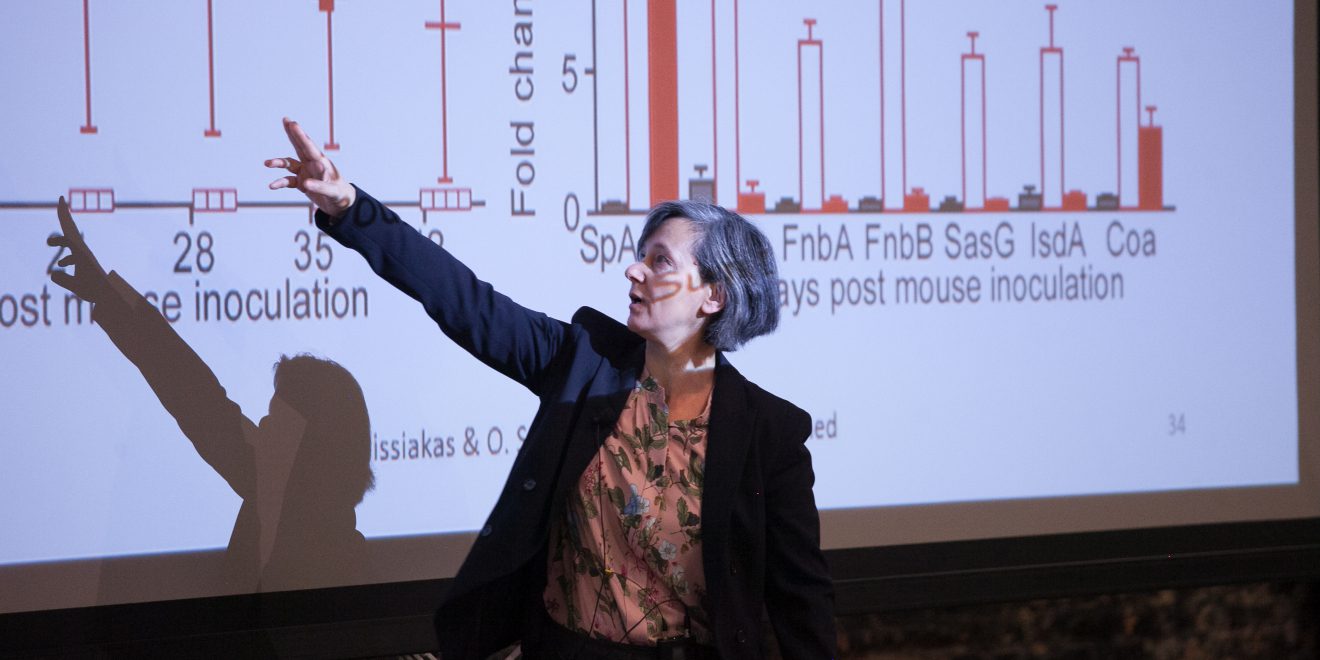 Innovation Fund invests $575,000 in biotech companies