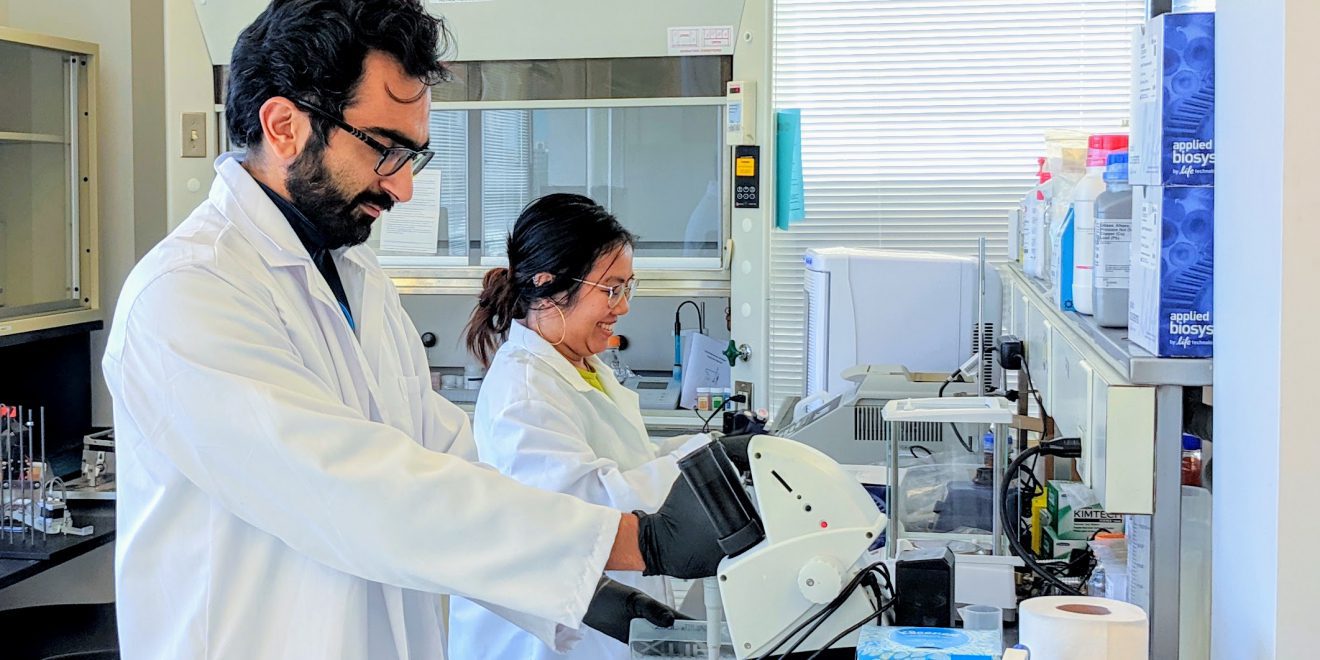 BiomeSense Raises $2 Million in Seed Round Funding