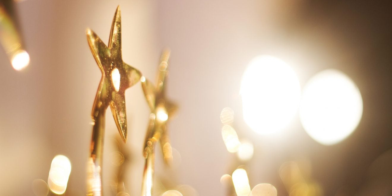 2020 NVC Finals Awards Record $1 Million Investment for Student Startups, Pippin Title Named Winner