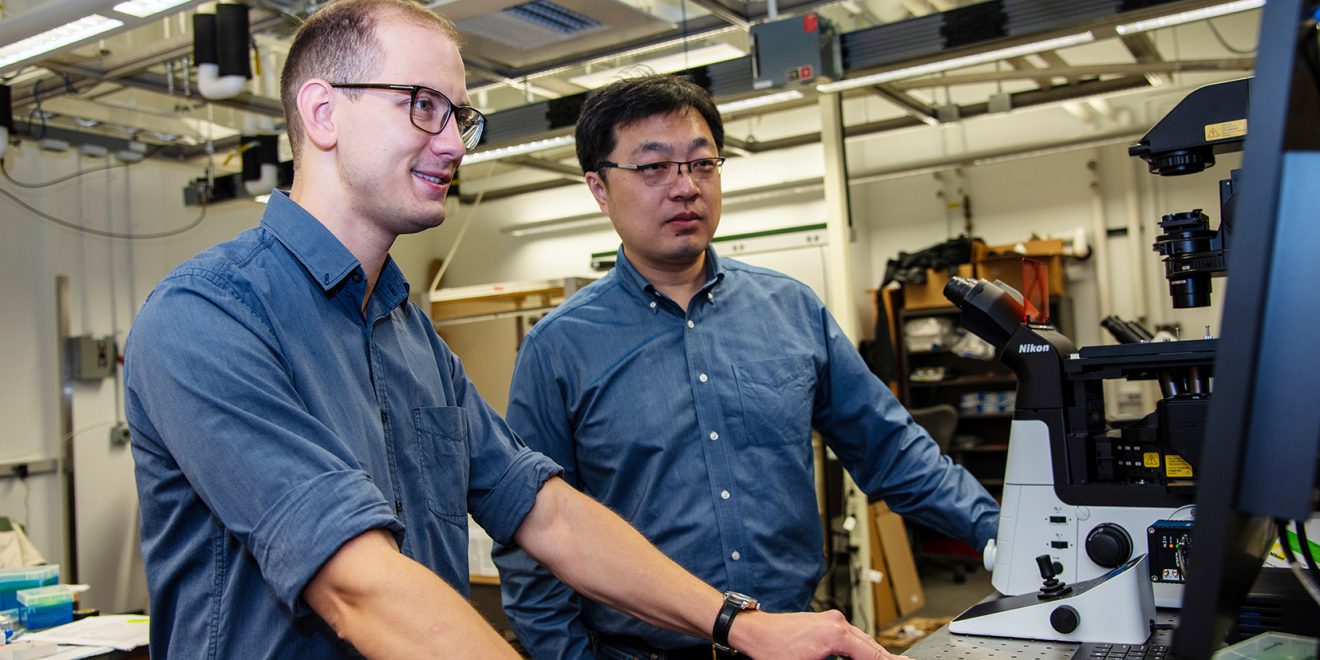 Researchers Light the Way for Minimally-Invasive Medical Devices, New Treatments