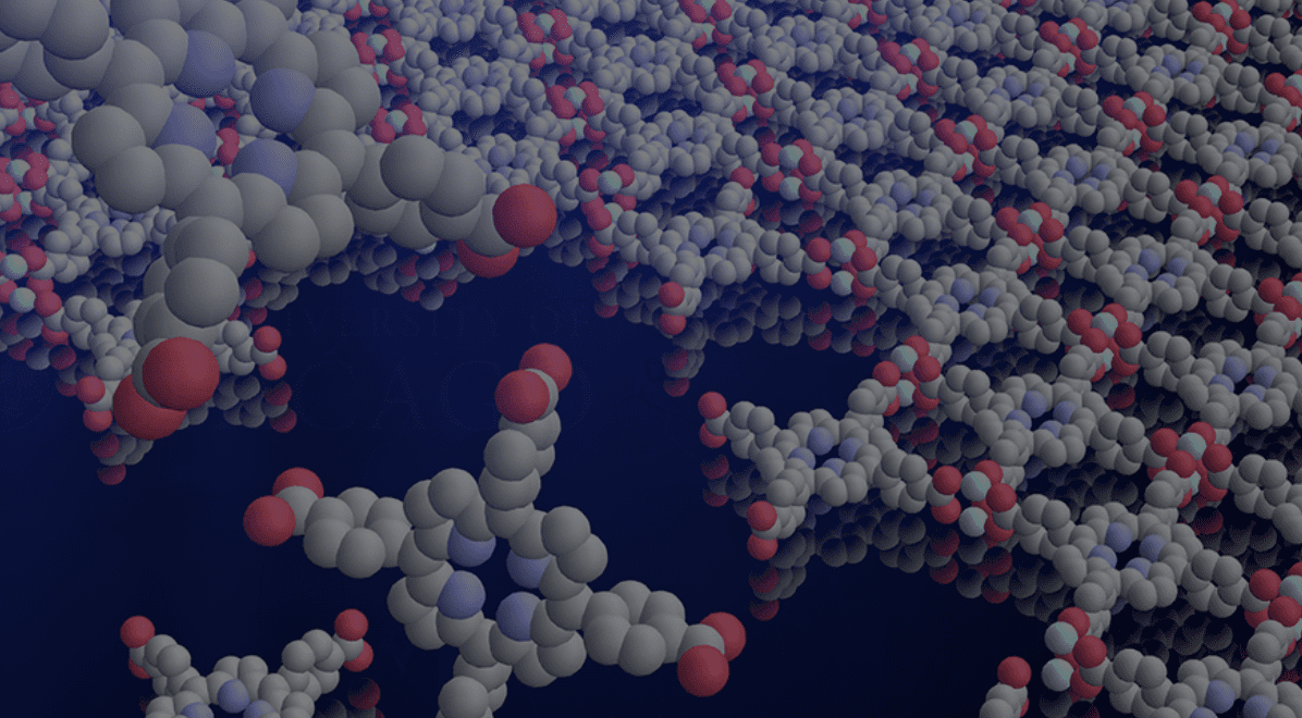 Building Atomically Thin Circuits for Advanced Devices