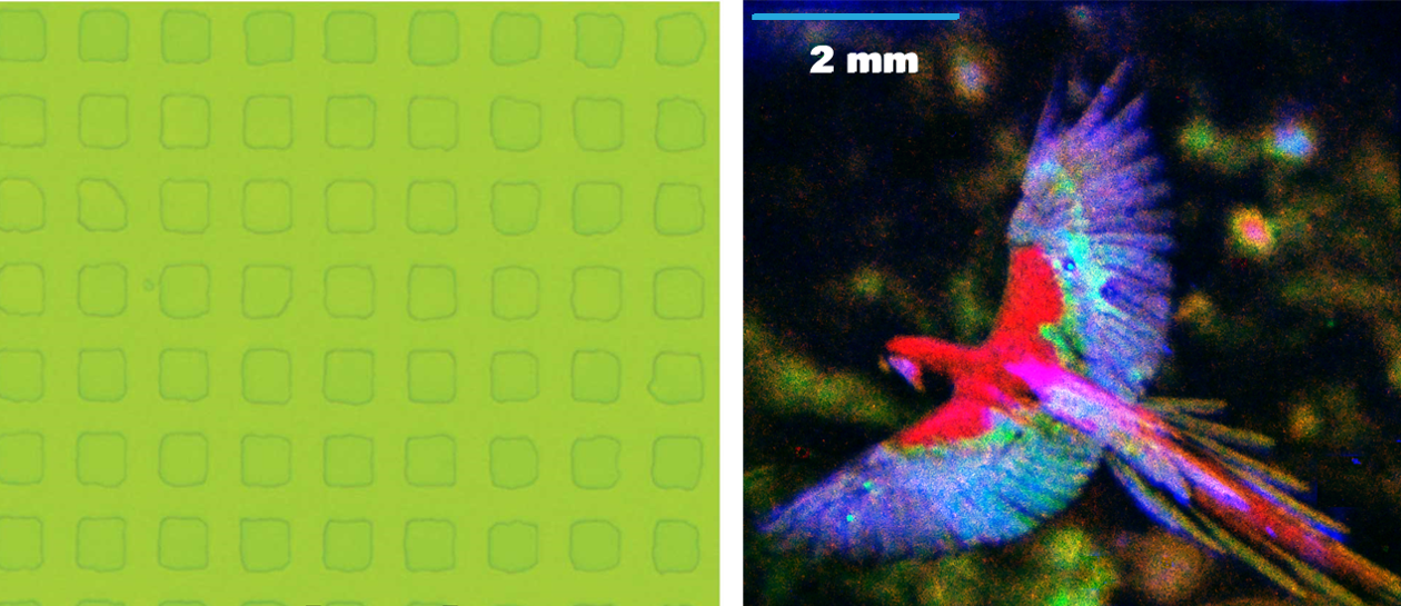 NanoPattern Technologies, ReAx Biotechnologies Receive $150,000 Each to Commercialize Research