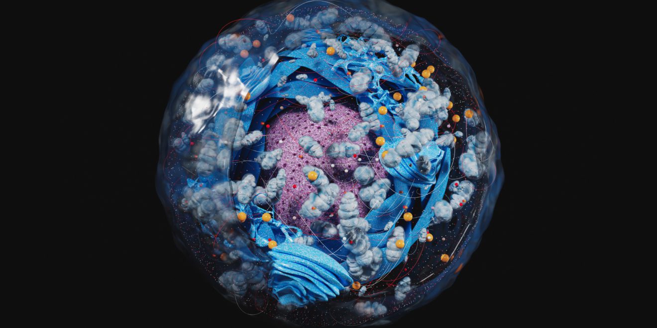Esya Labs Leads Paradigm Shift in Alzheimer’s Using Novel Biomarkers and AI for Revolutionary 360° Perspective of Disease
