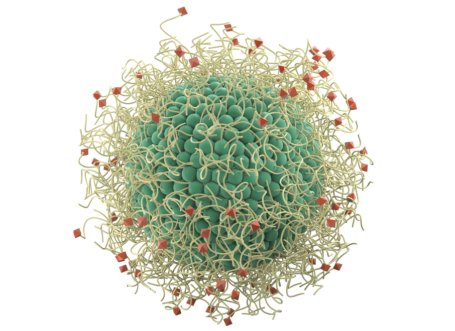 Multifunctional Nanomedicine Developed Using Novel UChicago Tech Gets FDA Nod to Initiate Clinical Trials