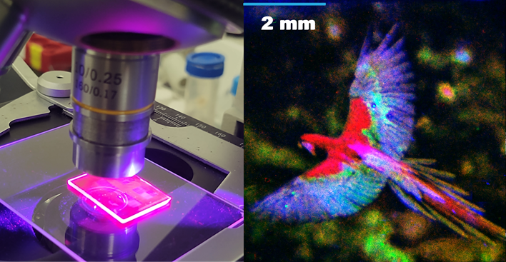 Patterned quantum dot samples