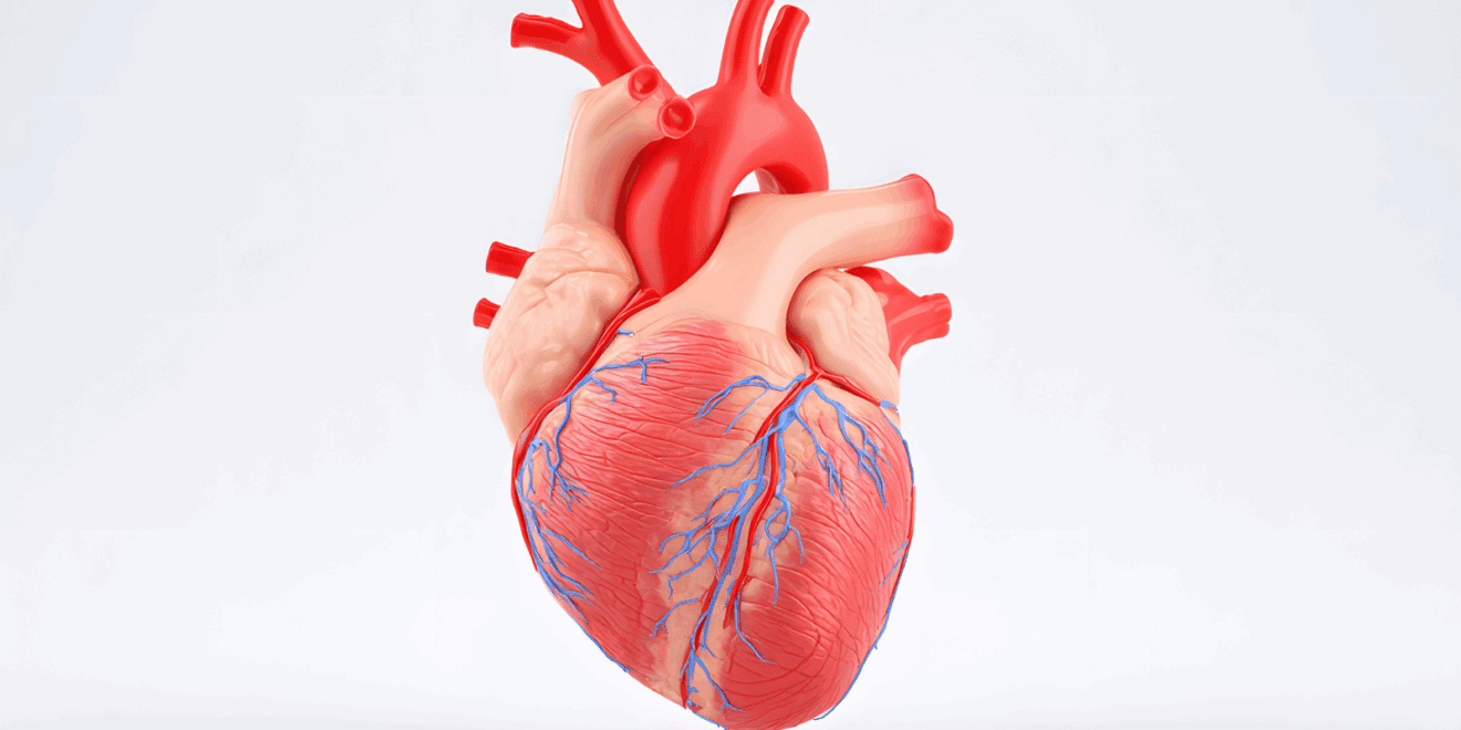 Novel Medical Device Provides Custom, Cost-Effective Solution for Atrial Fibrillation Patients